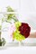 KISLOHUM Hydrangea Silk Flowers Heads with 10 Stems Burgundy Artificial Hydrangea Flower Head for Wedding Centerpieces Bouquets DIY Floral Decor Home Decoration